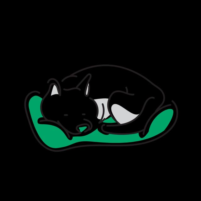 本を読んでいる人の画像